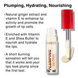 Phoera Plumping Lip Gloss